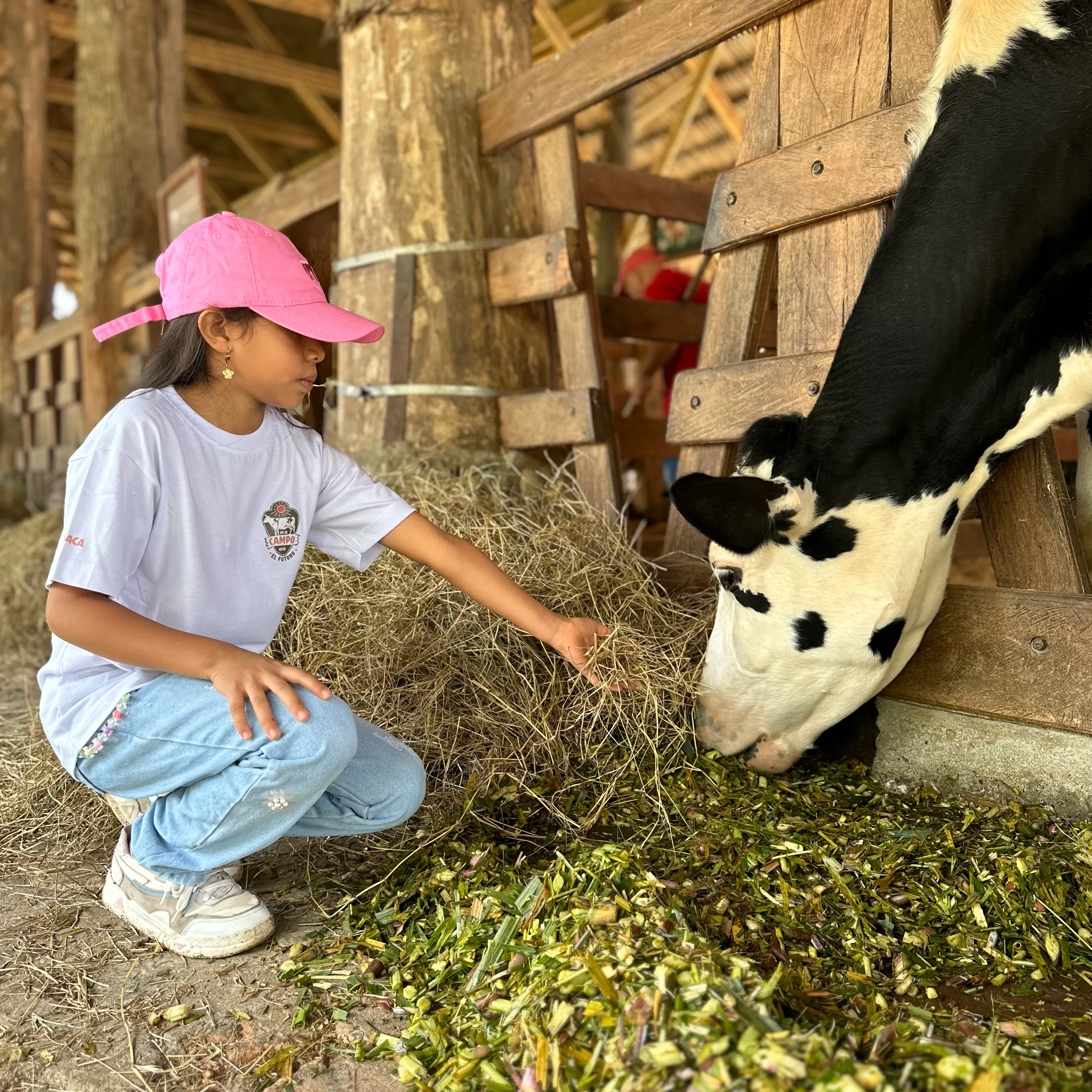 Pasaporte Terra  + Show Travesía
